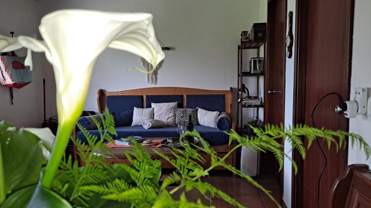 Casa Azul Villa Rabo de Peixe Buitenkant foto