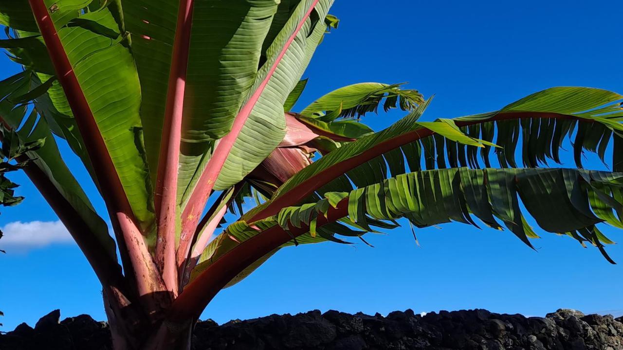 Casa Azul Villa Rabo de Peixe Buitenkant foto